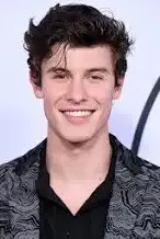 Chat with Shawn Mendes - Flipped.Chat - AI Character Chatbot